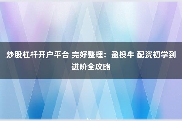 炒股杠杆开户平台 完好整理：盈投牛 配资初学到进阶全攻略