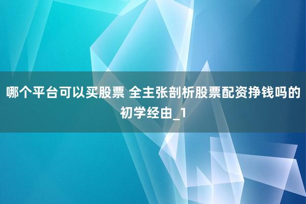 哪个平台可以买股票 全主张剖析股票配资挣钱吗的初学经由_1
